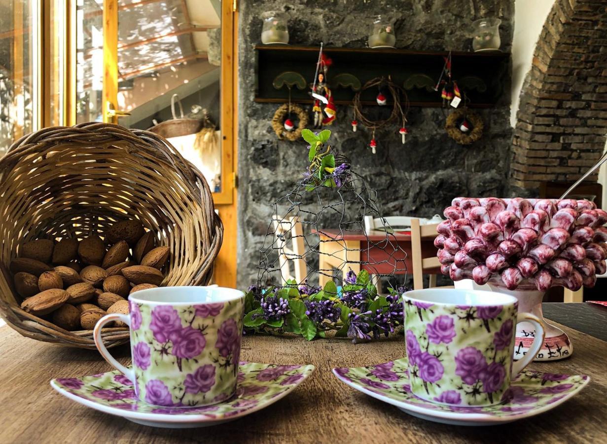 B&B Polifemo Etna Nicolosi Extérieur photo