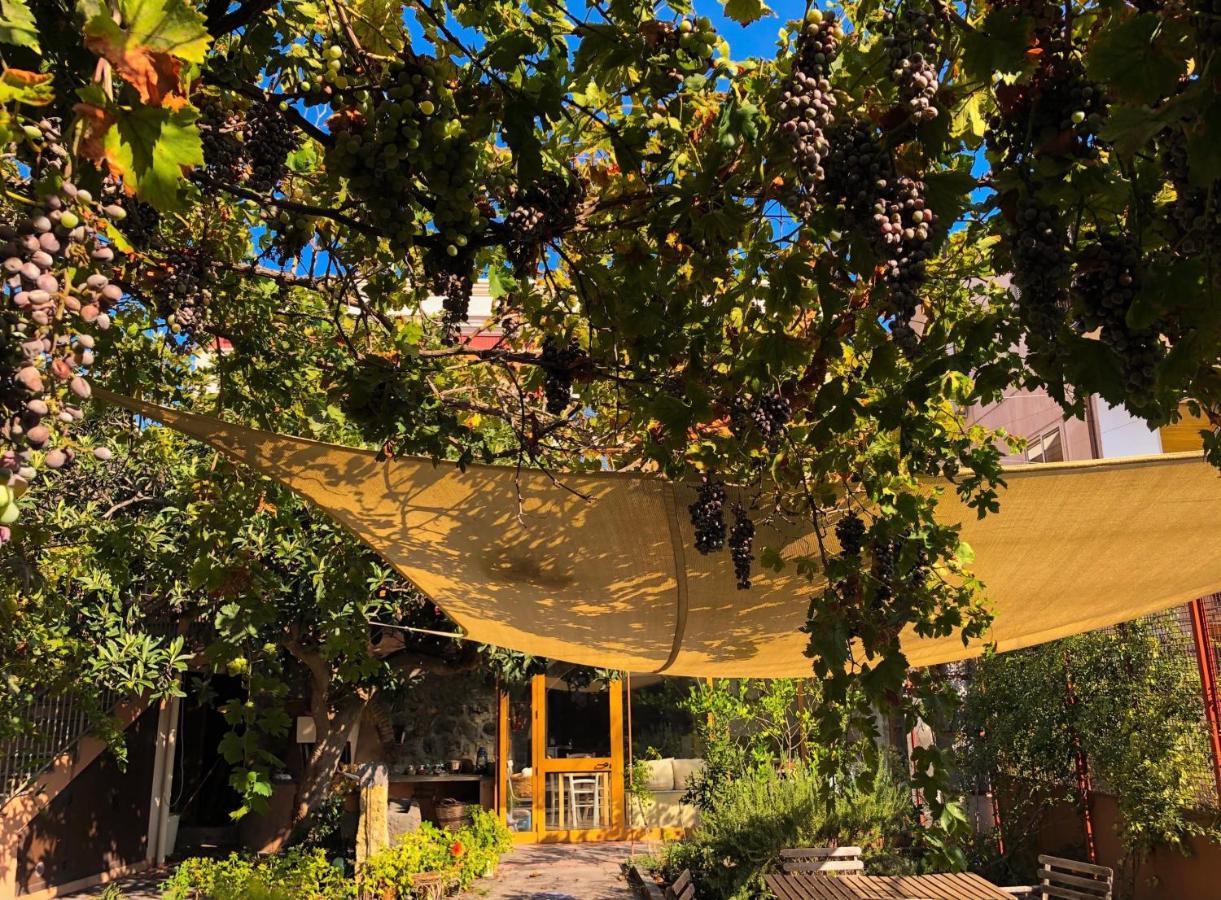 B&B Polifemo Etna Nicolosi Extérieur photo